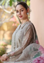 Noor Laserkari - D1-B